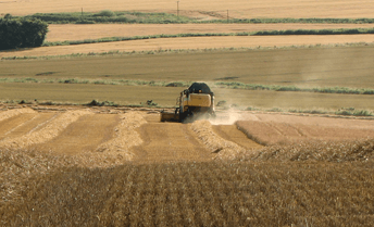 Harvest Time on the Farm