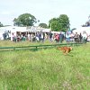 GWCT Scottish Game Fair Scurry