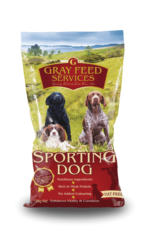 Sporting Dog