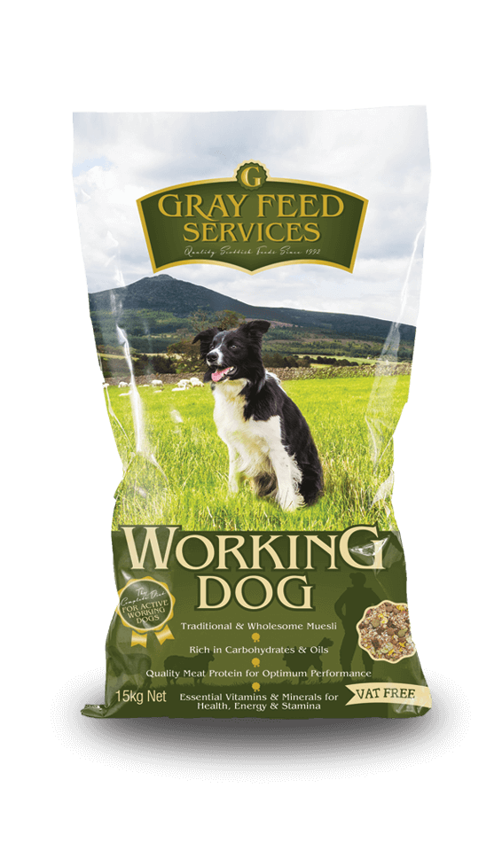 working dog dry food